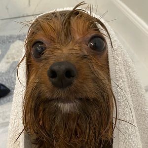 Meet your Posher, Jorge